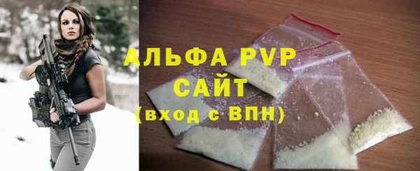 гашик Арсеньев