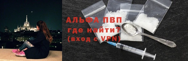 гашик Арсеньев