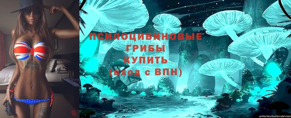 гашик Арсеньев