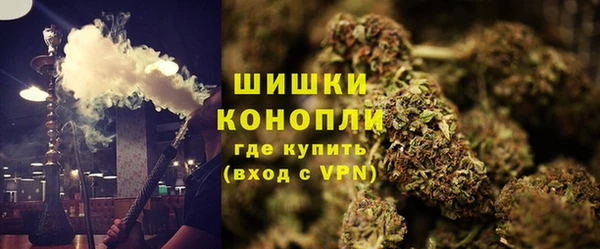 гашик Арсеньев