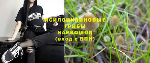 гашик Арсеньев