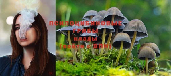jwh Армянск
