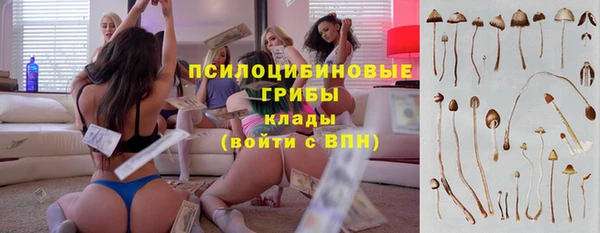 гашик Арсеньев