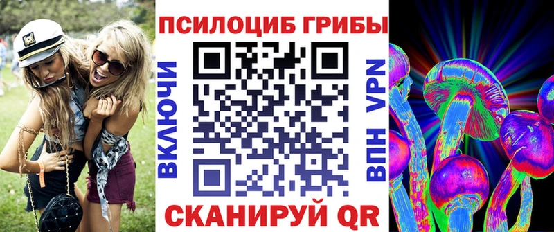 Псилоцибиновые грибы Psilocybe  Калязин 